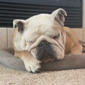 Meet your Posher, Jason